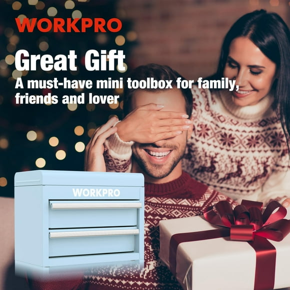WORKPRO Mini Metal Tool Box with 2 Drawers and Top Storage, Small Tool Chest with PVC Liners and PP Feet Pads, Cold Rolled Steel Toolbox with Magnetic Tab