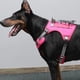 thumbnail image 4 of Arnés táctico para perros pequeños, medianos y grandes, arnés ajustable sin tirones, chaleco para mascotas de fácil Control, servicio militar, 4 of 5