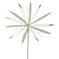 thumbnail image 1 of Semence de Fleur de Papyrus Crème&44; 24 & 20 Po., 1 of 1