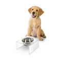 thumbnail image 5 of THE LICKER STORE Keaton 5" Small/Medium Modern Acrylic Rectangular Elevated Pet Feeder with 20oz 1-Stainless Steel Bowl, Clear/Chrome, DBL2002A, 5 of 7