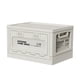 thumbnail image 1 of Caja de almacenamiento plegable con tapa y asa, 27 l, organizador para maletero de coche Blanco, 1 of 9