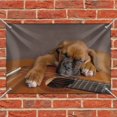thumbnail image 2 of Boxer Puppy Dog Sleeping on Guitar Home Business Office Sign, 2 of 4