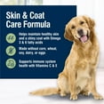 thumbnail image 5 of BLUE True Solutions Perfect Skin & Coat Adult Dog Dry Food, Salmon, 11-lb., 5 of 13