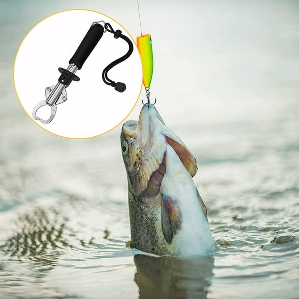 2 Pieces Fish Lip Gripper Stainless Steel Fish Lip Grabber Portable Fishing  Gripper Fish Tackle Fish Holder Fish Scales, 33 Pound Fish Lip Grip Tool  with Weight Scale and Strap for Fishing