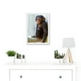thumbnail image 2 of Animal Photo Ape Monkey Cute Baby Chimpanzee Artwork Framed Wall Art Print A4, 2 of 4