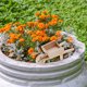 thumbnail image 1 of Fiudx Ofertas relámpago del día, solo en línea Casa de muñecas con decoración de bonsái, carrito de madera maciza, muebles para el hogar, modelo en miniatura, accesorios de decoración para patio al a, 1 of 7