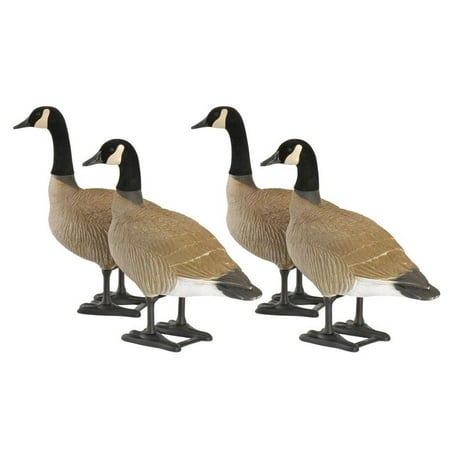 Big Foot BigFoot Bull Canada Goose Decoy - Pack of 4
