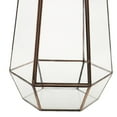 thumbnail image 4 of GUOOL Irregular Glass Geometric Terrarium Box Tabletop Plant Planter M, 4 of 9