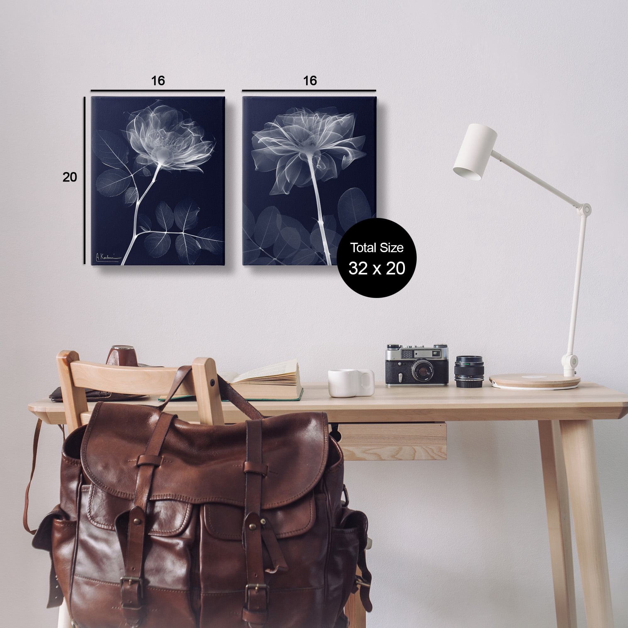 Stupell Industries X-Ray Blossom on Black Botanical & Floral Photography Gallery Wrapped Canvas Art Print Wall Art, 16 x 20, Set of 2