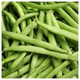 thumbnail image 2 of Everwilde Farms - 1/4 lb Missouri Wonder Pole Bean Seeds - Gold Vault Bulk Seed Packet, 2 of 2