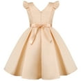 thumbnail image 3 of Elegant Girls' Special Occasion Princess Dresses for Embroidered Dress Girl's Evening Dress Champagne, 3 of 8