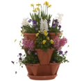 thumbnail image 1 of Nancy Janes P1360 12 in. Self Waterning Planter Terracotta, 1 of 1