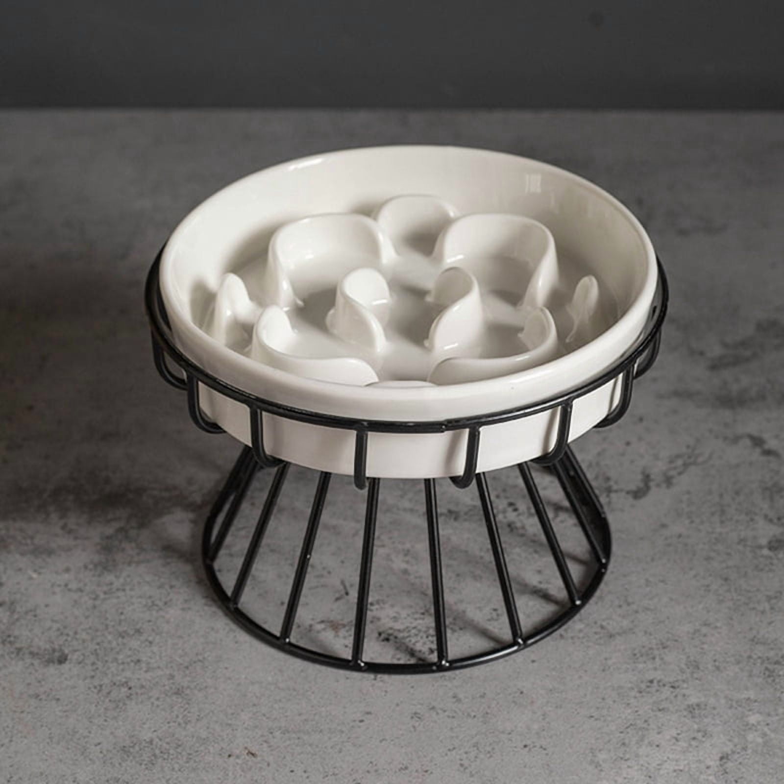 Osfvolr Raised Ceramic Cat Slow Feeder Bowl, Elevated Cat Plate with Stand, Slow Bowl for Wet and Dry Food, Friendly Pet