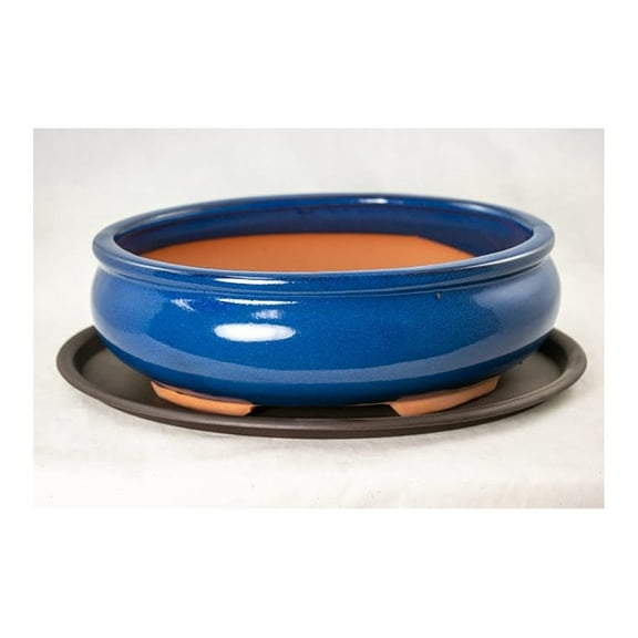 Oval Cactus Planter Pot with Tray & Mesh, Dark Blue - 10" x 7.5" x 3.25" - Indoor Succulent & Plant Pots