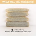thumbnail image 2 of Esponjas de lufa de baño naturales, esponjas de ducha de Luffa orgánicas grandes, exfoliante para la piel, la espalda y el cuerpo, para el cuidado personal diario (paquete de 3), 2 of 5