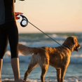 thumbnail image 4 of Retractable dog leash 5M Retractor leash with ergonomic design and retraction Comfortable leash Training leash for dog sizes up to 15 kg Adjustable L, 4 of 5