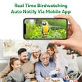 thumbnail image 4 of Smart Bird Feeder with Camera Solar Powered,AI Identify Birds Species,4K HD Video Live Stream,Instant Arrival Alerts,Weatherproof Design for Effortless Birdwatching,Best Gifts for BirdLovers, 4 of 8
