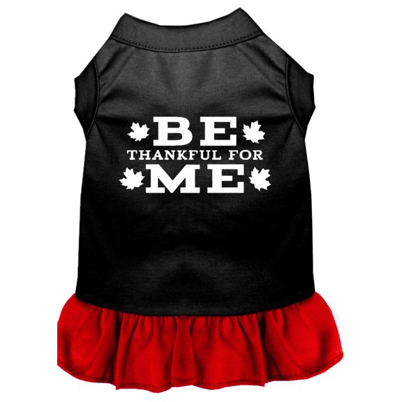 Pet Dog Cat Dress Screen Printed, "Be Thankful For Me"