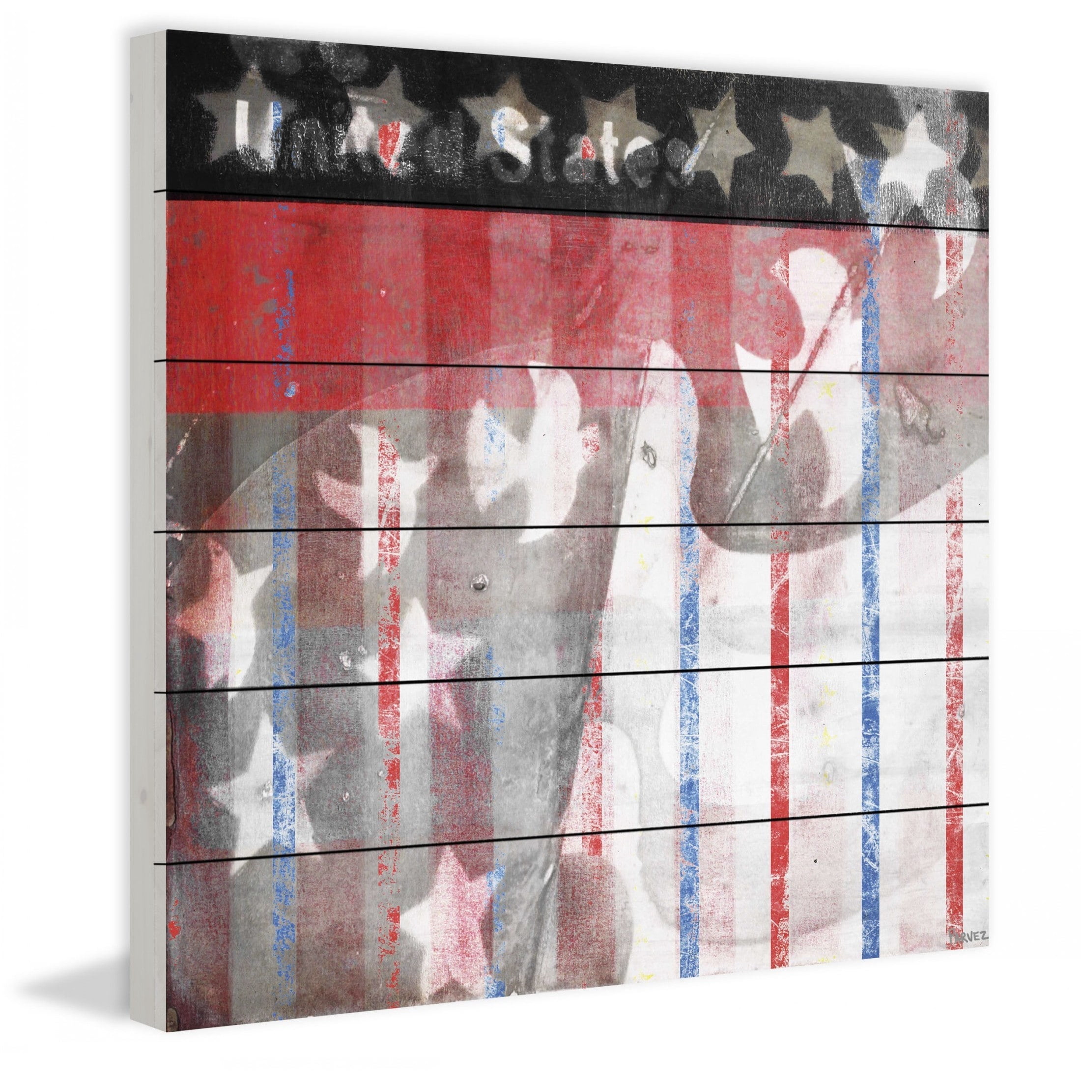 Parvez Taj  - "Patriotic Birds" Print on White Wood - Multi-Color 32 x 32