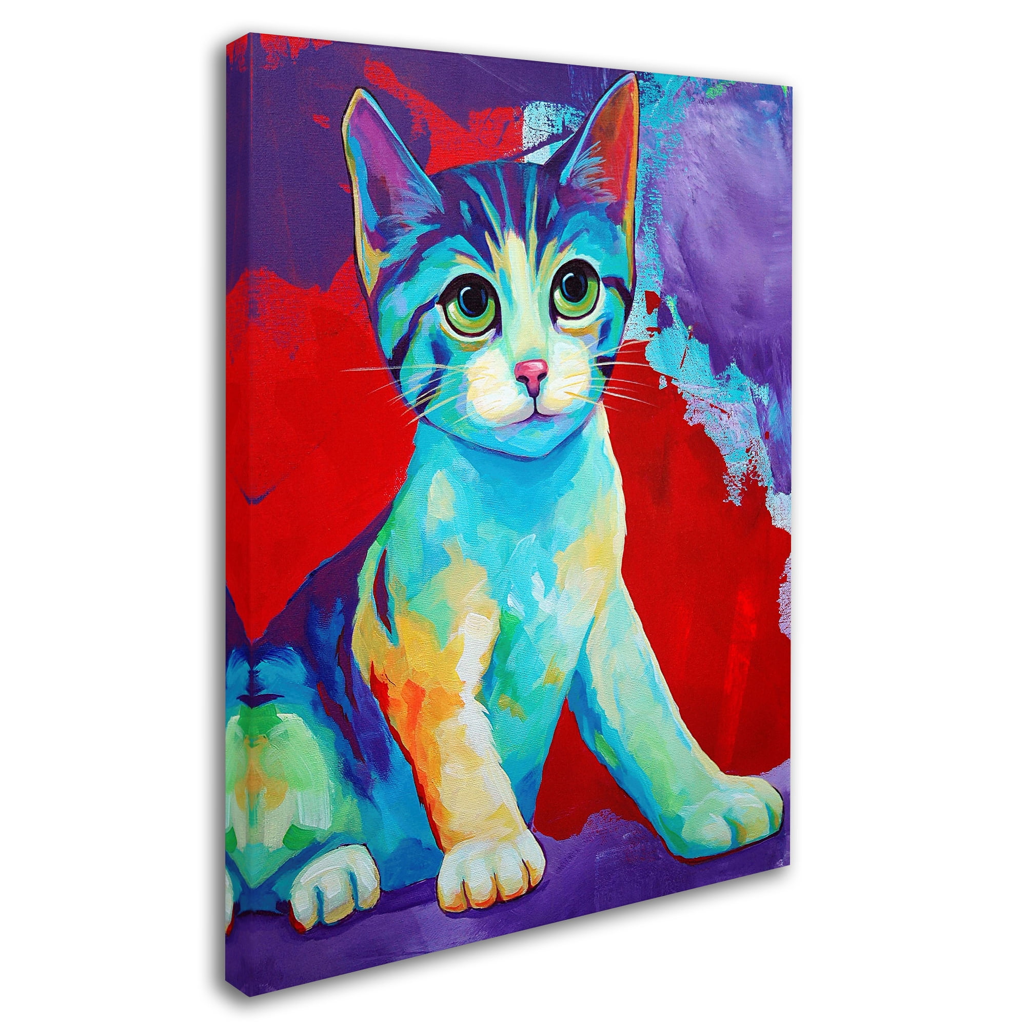 Trademark Fine Art 'Colorful Kitten Finningan' Canvas Art by Corina St. Martin