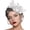 White, variant on Fascinators Hats for Women Party Hat Mesh Headband Lace Veil Ribbons Hair Clip Church Wedding