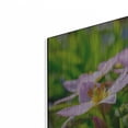 thumbnail image 2 of Luxe Metal Art 'Flower I' by Epic Portfolio Metal Wall Art, 12" x 12", 2 of 9