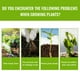thumbnail image 4 of Solución Nutritiva para Plantas 50ml | Fertilizante Hidropónico Orgánico para Flores, Suculentas, Plantas Verdes, Verduras | Fórmula de Nitrógeno-Fósforo-Potasio | Absorción Rápida | Jardinería, 4 of 9