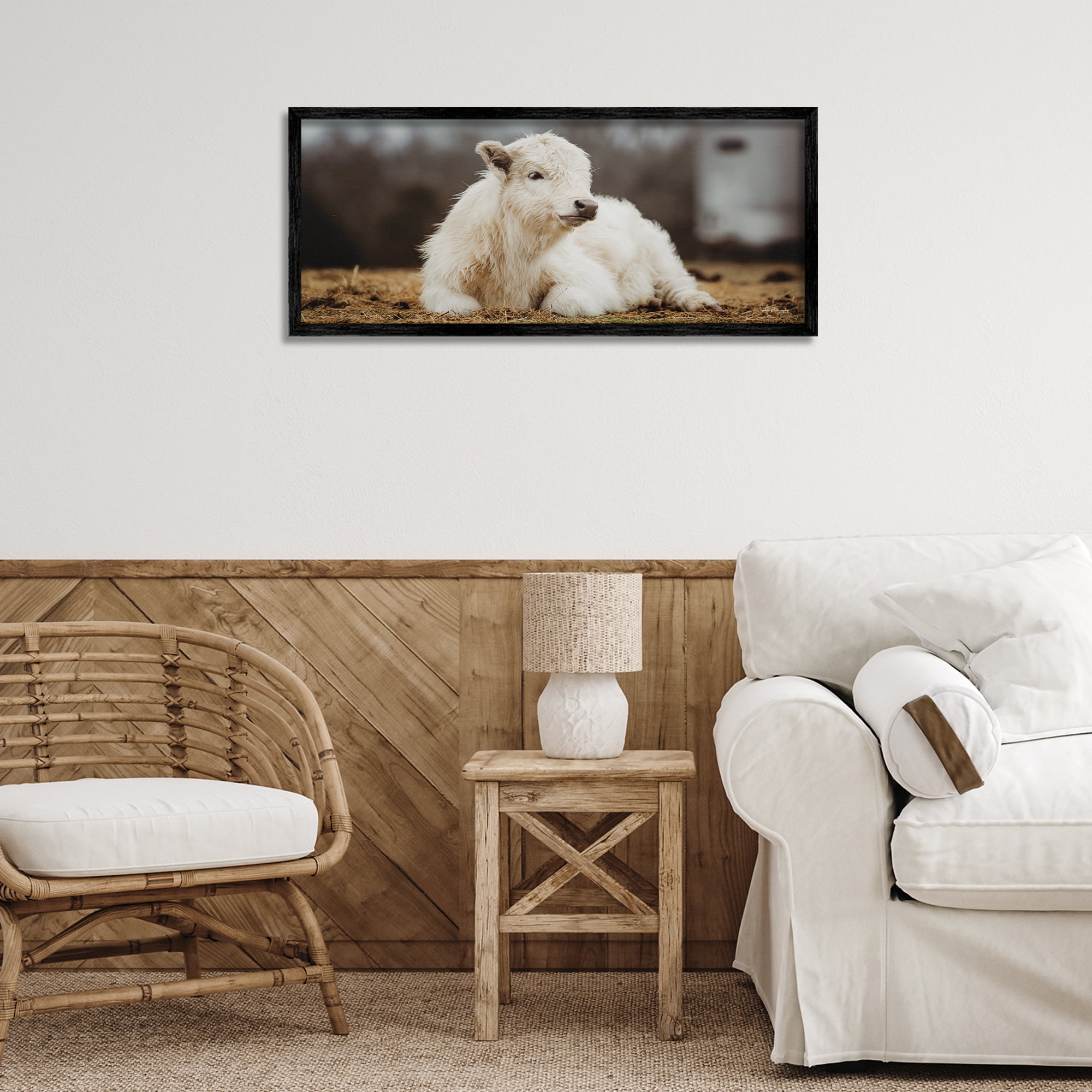 Stupell Industries Baby White Cattle Animals & Insects Photography Black Framed Art Print Wall Art, 30 x 13