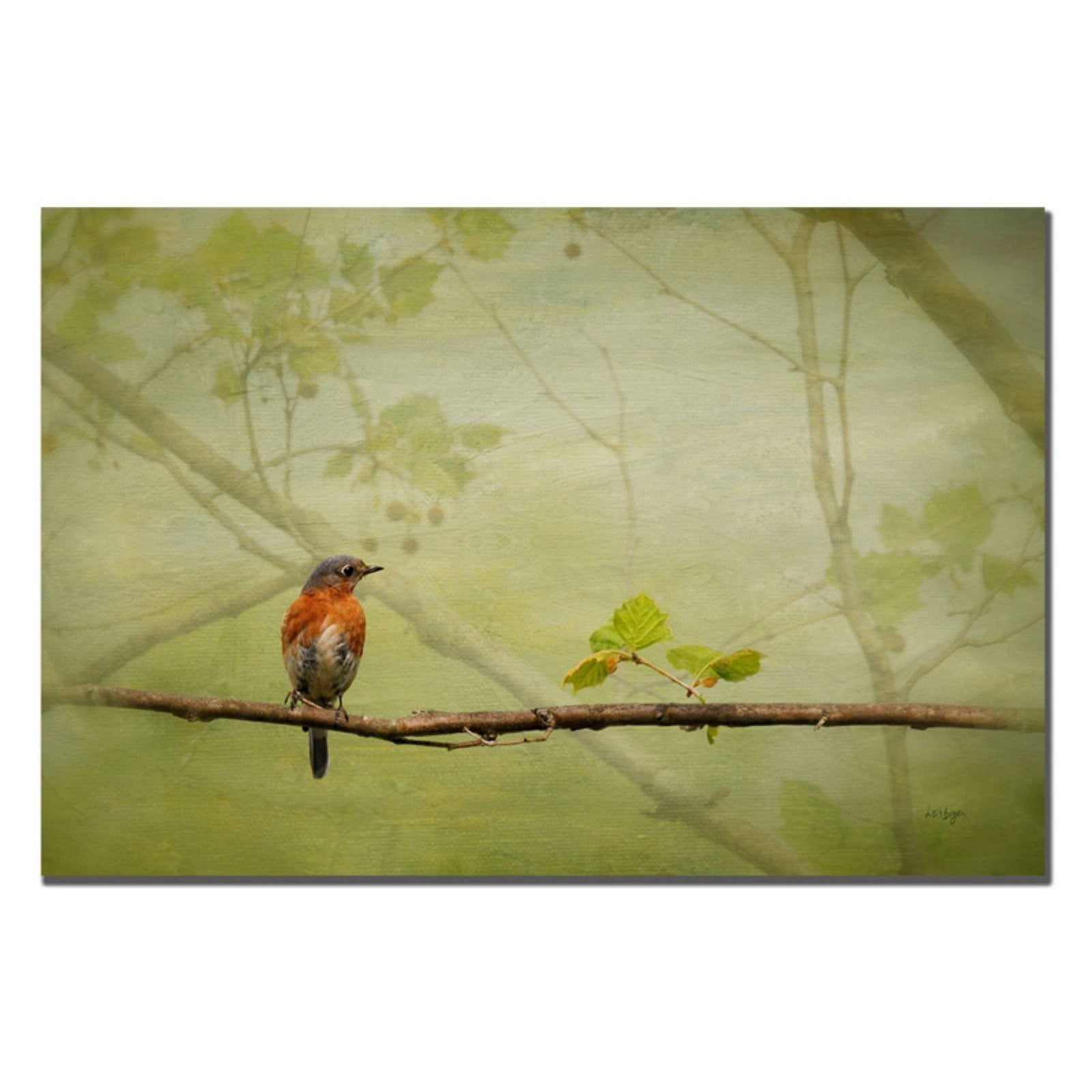 Trademark Fine Art "Bluebird in Spring" Canvas Art by Lois Bryan