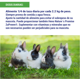 thumbnail image 3 of Alimento Zupreem conejo nature´s promise 2.26 Kg. Zupreem Zupreem Alimentos conejo, 3 of 3