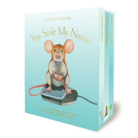 You Stole My Name You Stole My Name Board Book Box Set: Poetry Books for Early Learning, (Paperback)