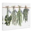 thumbnail image 4 of Stupell Industries Hanging Kitchen Herbs Botanical & Floral Painting Gallery Wrapped Canvas Art Print Wall Art, 20 x 16, 4 of 8