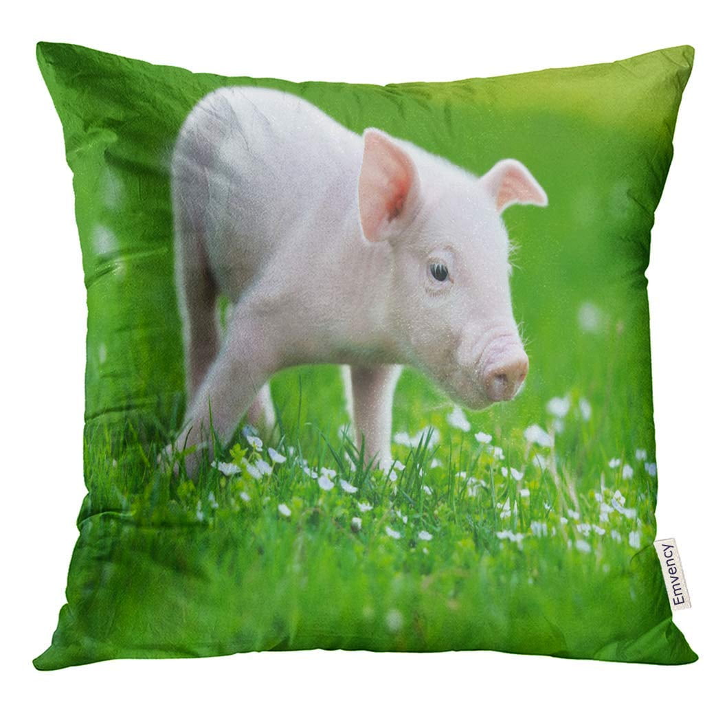 USART Pink Cute Young Funny Pig on Spring Green Grass Piglet Pillow