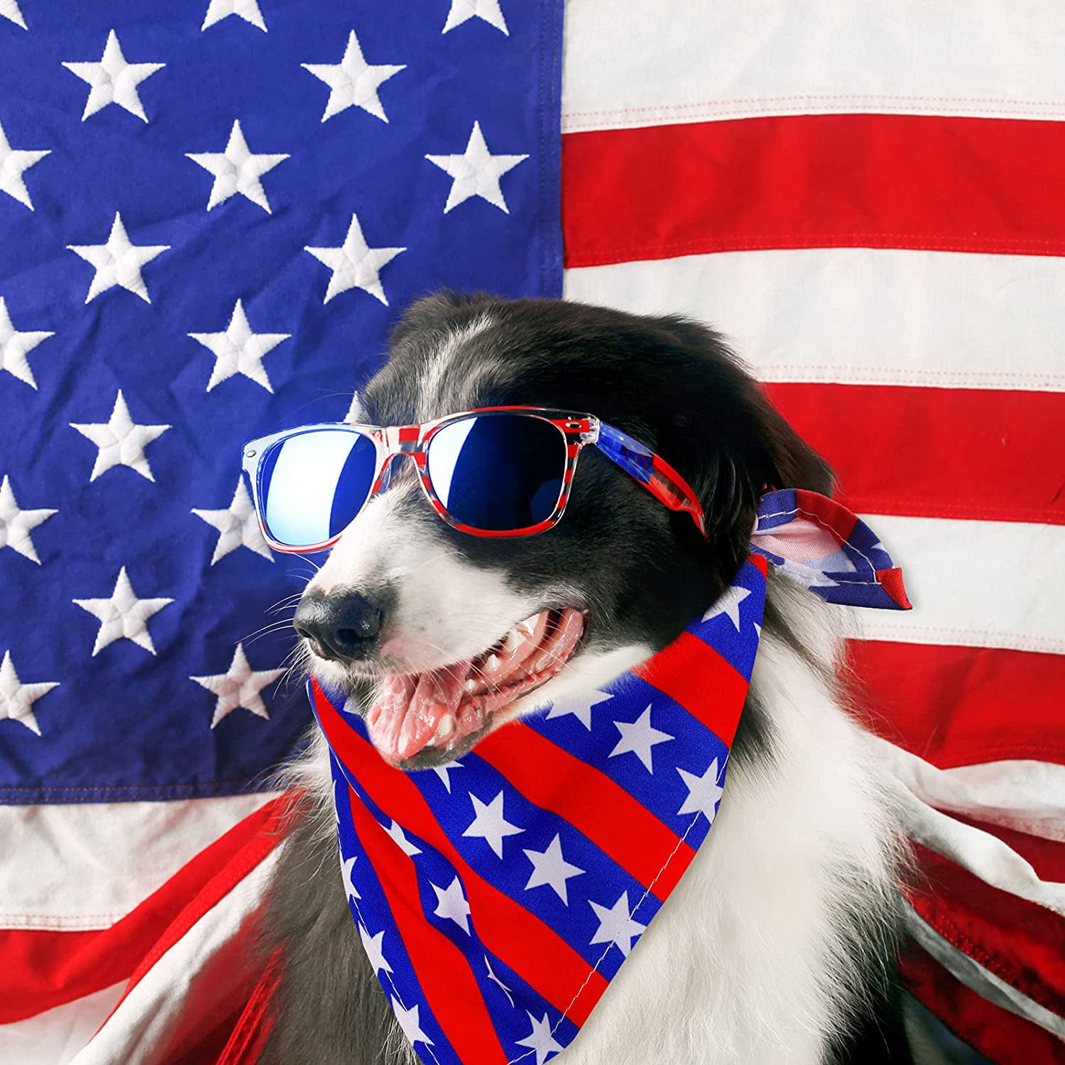 Independence Day Dog Bandana 4th of July Dog Bandana Over the Collar Bandana Party Like It's 1776 Dog Bandana