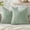 Bean Green, variant on Fall Pillow Covers18x18 Inch, Velvet Throw Pillow Covers Soft Cozy Solid Decorative Luxury Cushion Cases for Couch Sofa Bed Living Room Bedroom
