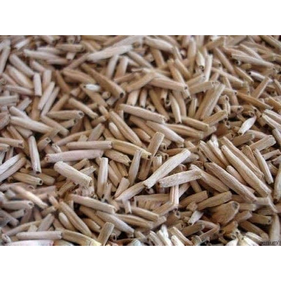 100 Mixed Color Desert Rose Seeds to Grow | 100 Seeds | Adenium Obesum Seeds to Grow.. Exotic Bonsai Plant