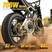 Electric Bike for Teenagers, Ages 7+ with 750W Brushless Motor, 16 Fat Tire, 20 MPH Electric Mountain Bicycle with Removable Battery, UL2849
