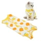 thumbnail image 1 of El Traje de recuperación Quirúrgica para Gatos Previene Lamer la Ropa de Cirugía de Algodón, 1 of 7