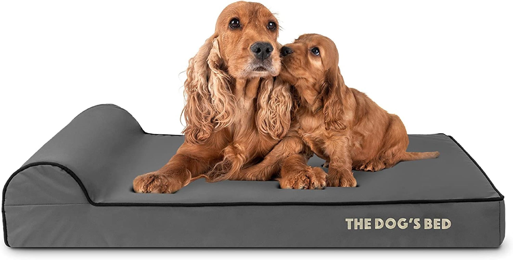 Bed Cover for Bed Orthopedic with Sides, Spare Replacement Cover (Small