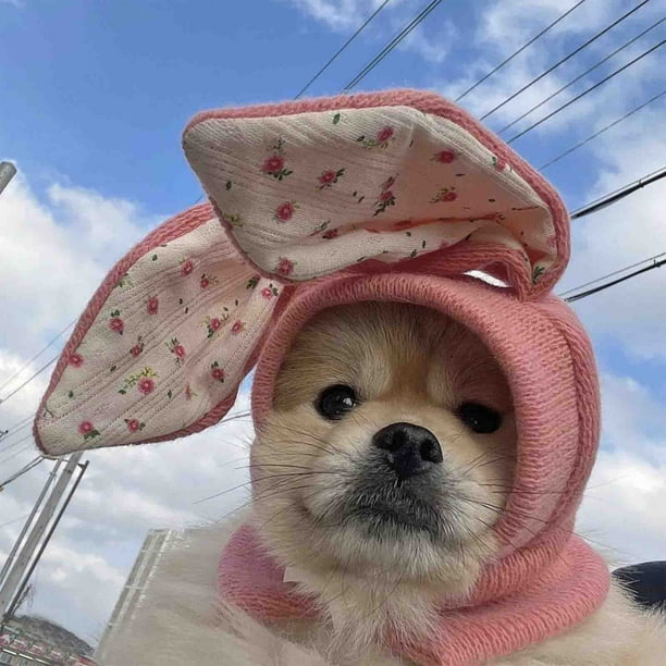Lindo gorro de conejo con orejas para disfraz de gato y perro pequeño, accesorio para disfraz de Pascua, ideal para fiestas, abriga y para fotos de invierno. Gorra de cosplay para perro.