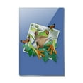 thumbnail image 1 of Tree Frog Selfie Picture Rainforest Rectangle Acrylic Fridge Refrigerator Magnet, 1 of 5