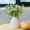 B, variant on Home Decor QTOCIO Ceramic Vases Water Nourishing Flowers Living Room Decorations Floral Arrangements