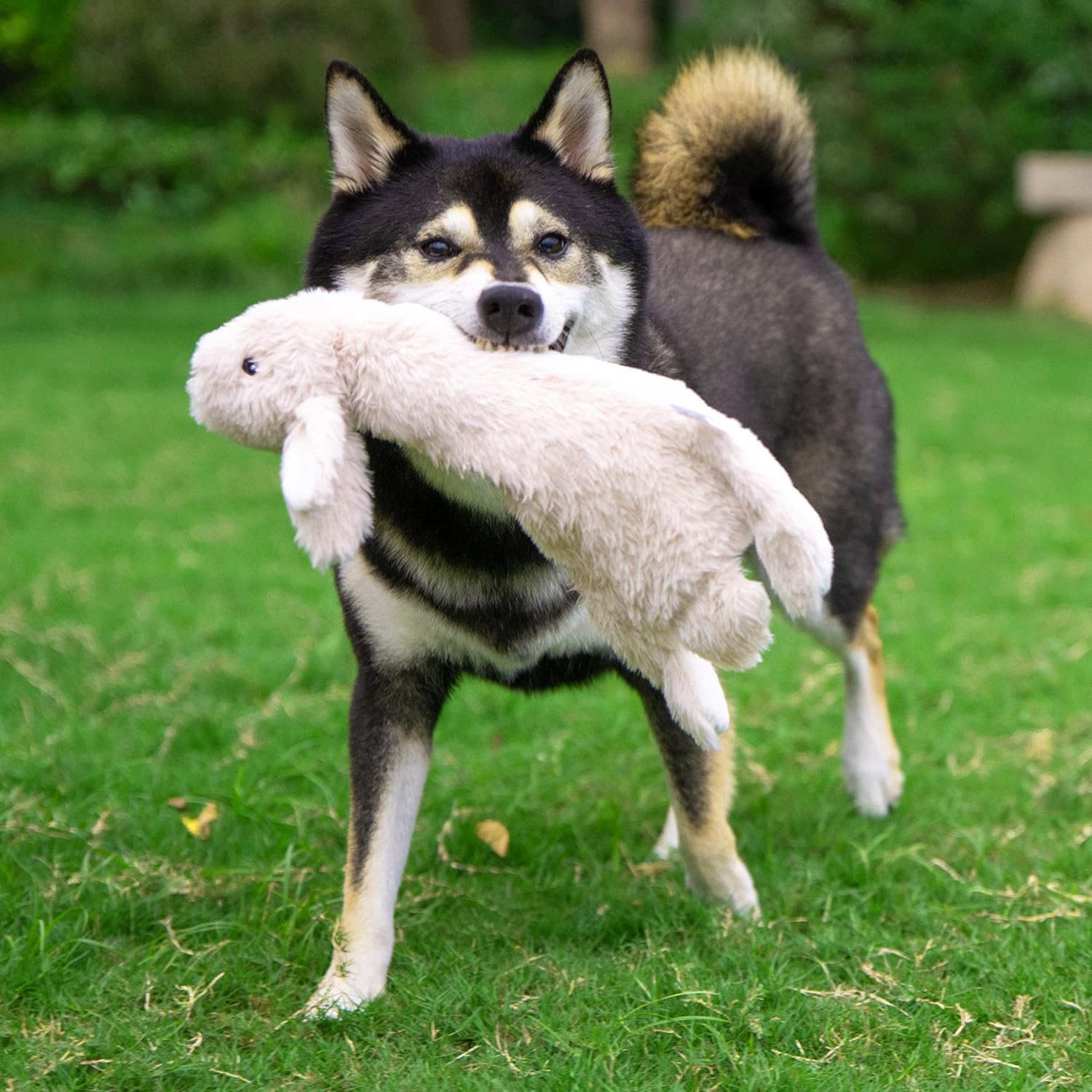 Best Pet Supplies 4-In-1 Squeaky Dog Chew Toys photo 8