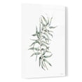thumbnail image 2 of Epic Art 'Eucalyptus I' by Seven Trees Design, Acrylic Glass Wall Art, 16"x24", 2 of 3