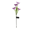 thumbnail image 4 of Lámpara de jardín forma de flor Lámpara de césped al aire libre colorida luz solar decorativa LED, púrpura 2pcs sidaley HA002386-02, 4 of 7