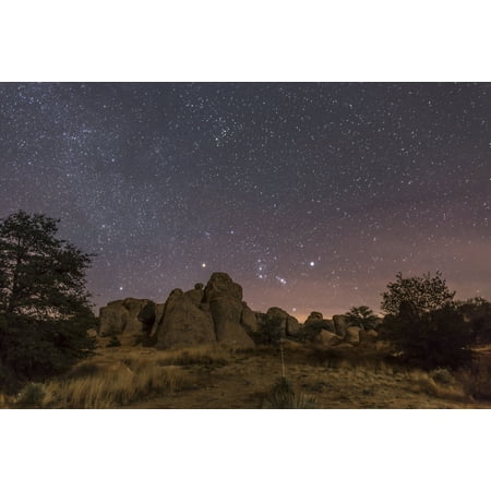 Orion rising at the City of Rocks State Park New Mexico Stretched Canvas - Alan DyerStocktrek Images (34 x