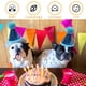 thumbnail image 3 of 3 Piezas Gorro de Cumpleaños para Perros para Mascotas Accesorios de Decoración para Fiestas de Navidad Gorros con Diadema para Mascotas, 3 of 5