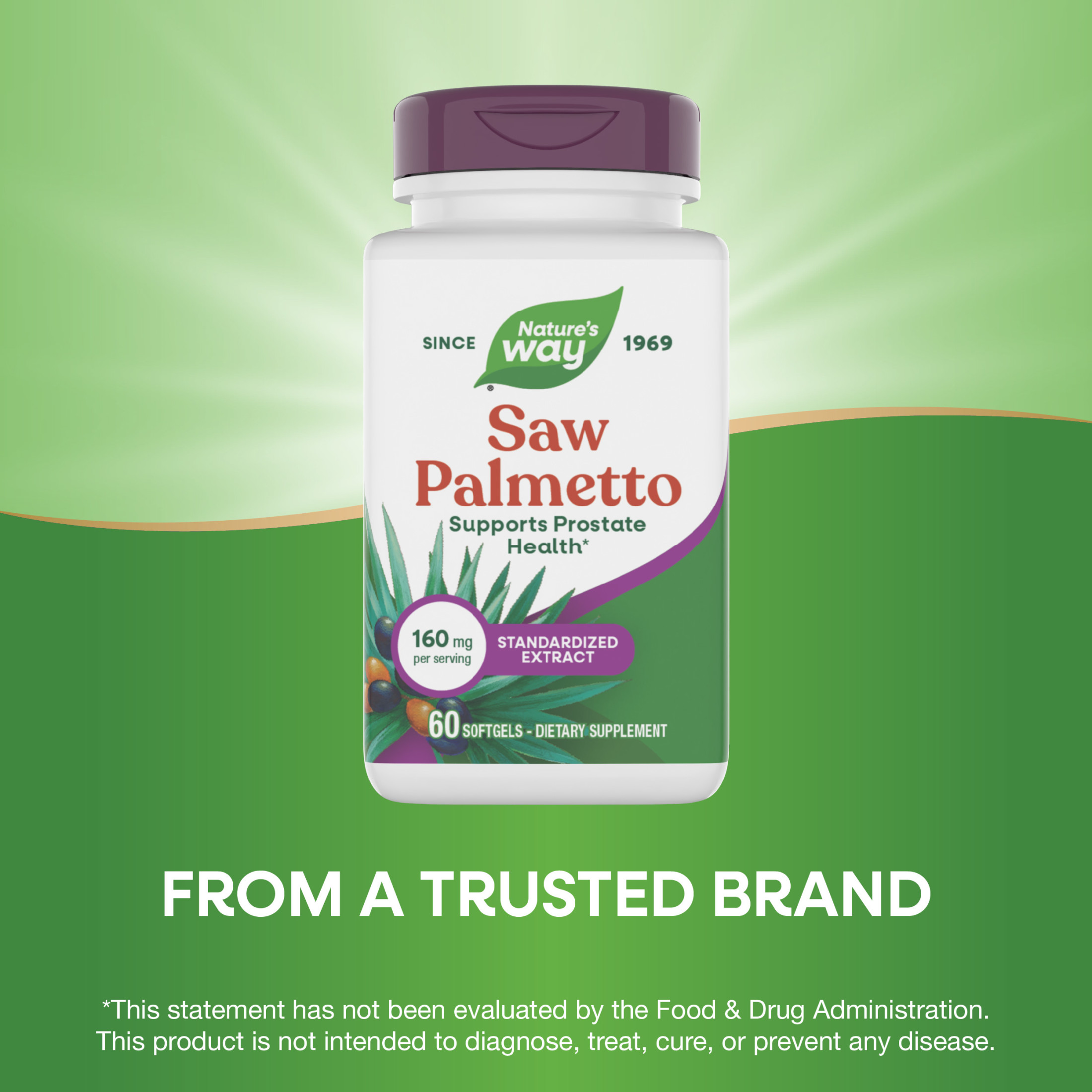 Nature's Way Saw Palmetto Premium Extract Softgels, Prostate Health Support for Men*, 60ct