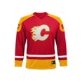 thumbnail image 1 of Boys NHL Team Jersey, 1 of 1