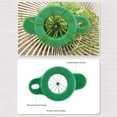 thumbnail image 2 of Household Stainless Steel Scallion Cutter Plum Blossom Shred Silk Cutter Sharp Onion Cutter Graters Kitchen Shred Accessories, 2 of 9